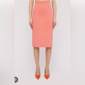 Scanlan Theodore Pencil Skirt